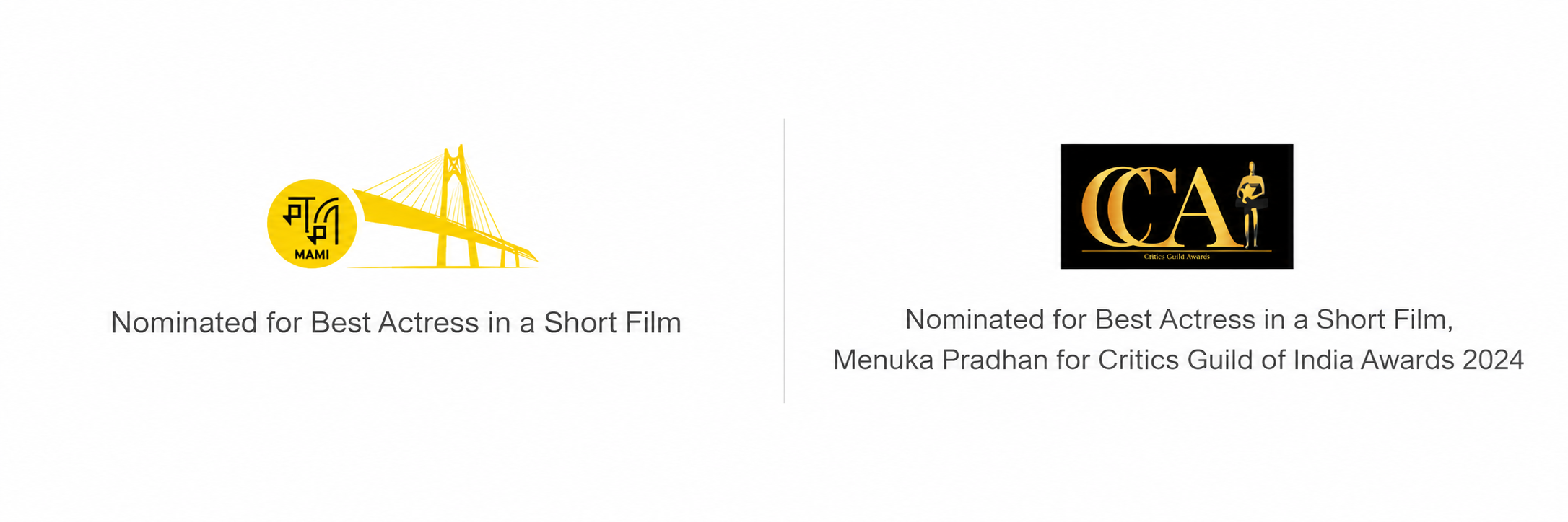 Crossing Boarder festival awards and recognition